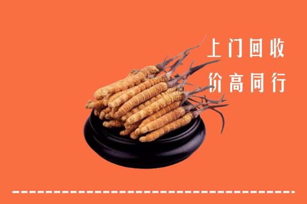 高价求购：宣化区回收散虫草